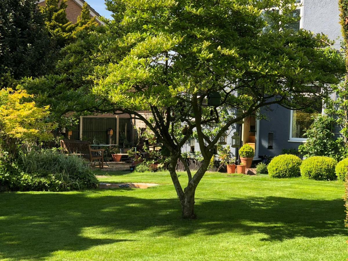 The Elms Guest House Bristol Filton Exteriör bild